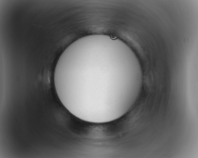 X0000089830115200707121648