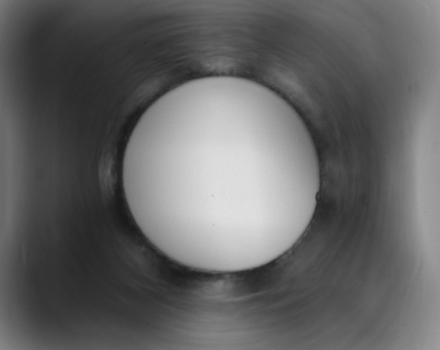 X0000089830116200707121648