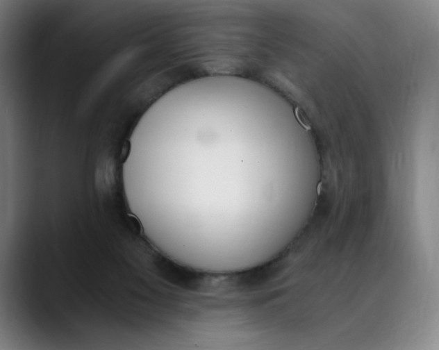 X0000089830117200707121648