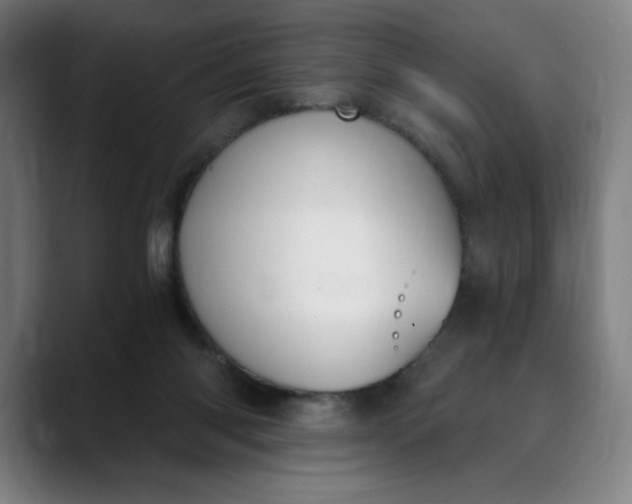 X0000089830118200707121648