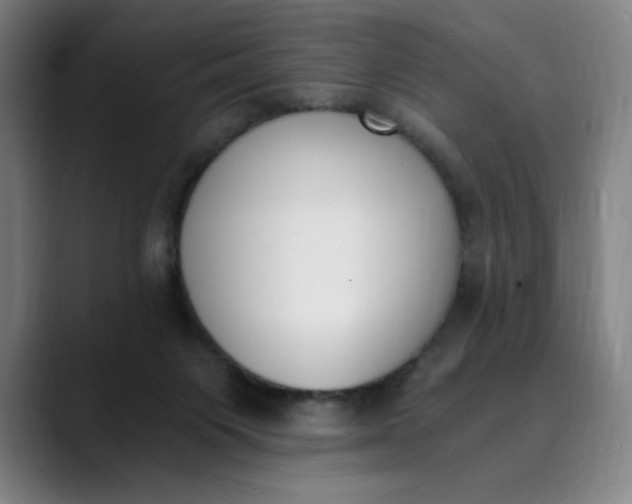 X0000089830119200707121648