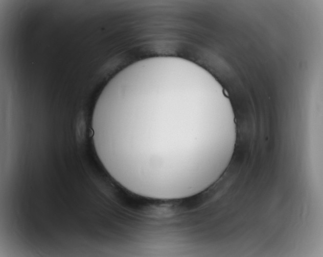 X0000089830120200707121648