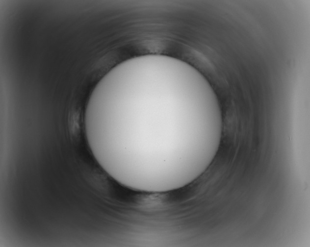 X0000089830122200707121648