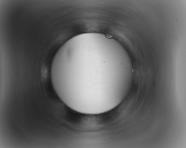 X0000089830123200707121648