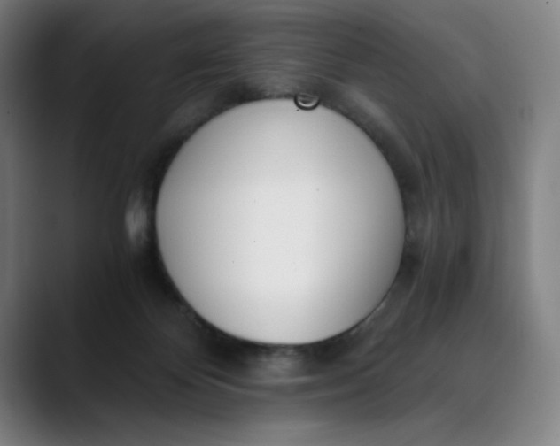 X0000089830124200707121648