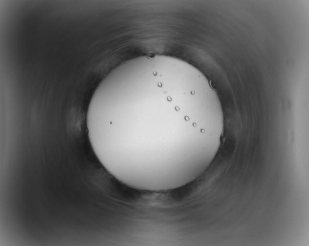 X0000089830125200707121648