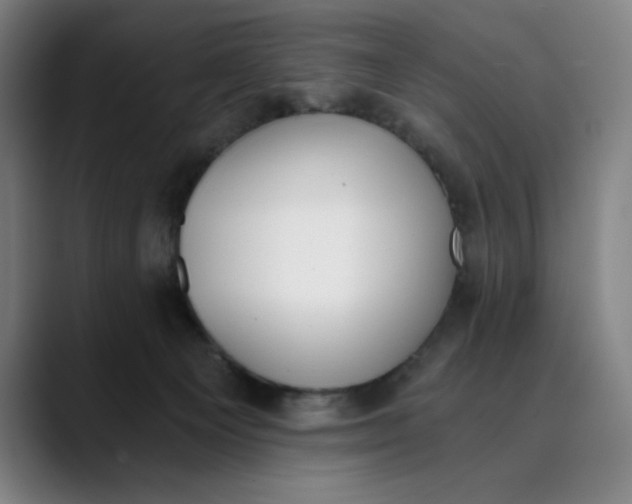 X0000089830129200707121648