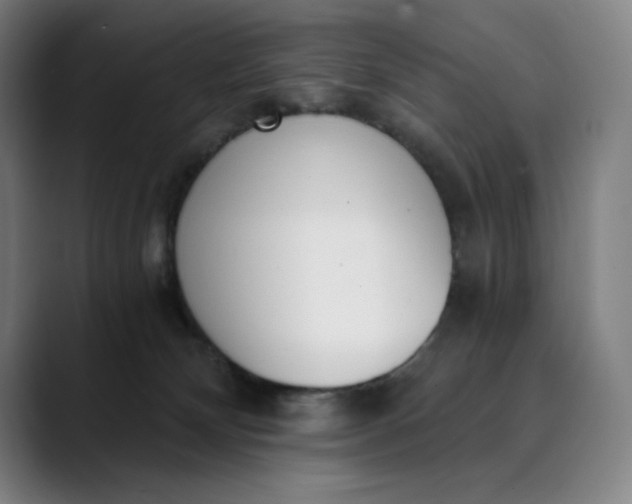 X0000089830132200707121648