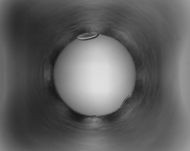 X0000089830133200707121648