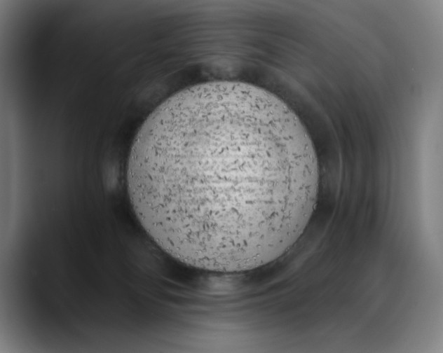 X0000089830134200707121648