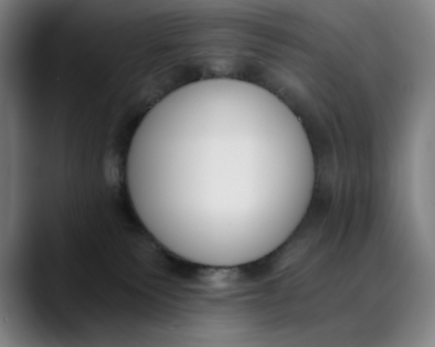 X0000089830135200707121648