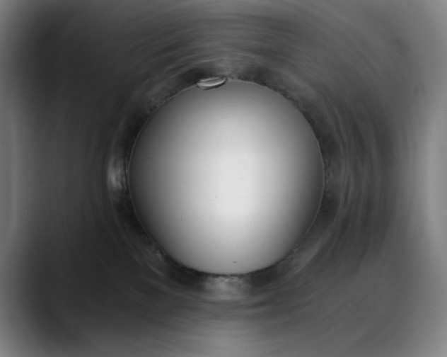 X0000089830137200707121648