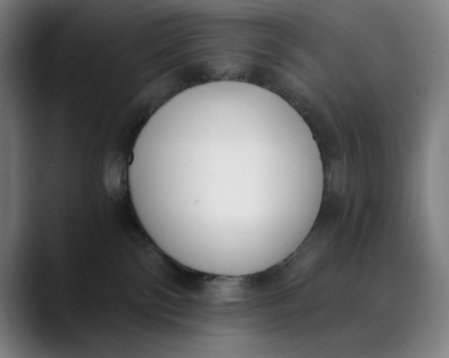 X0000089830138200707121648