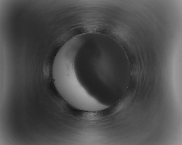 X0000089830139200707121648