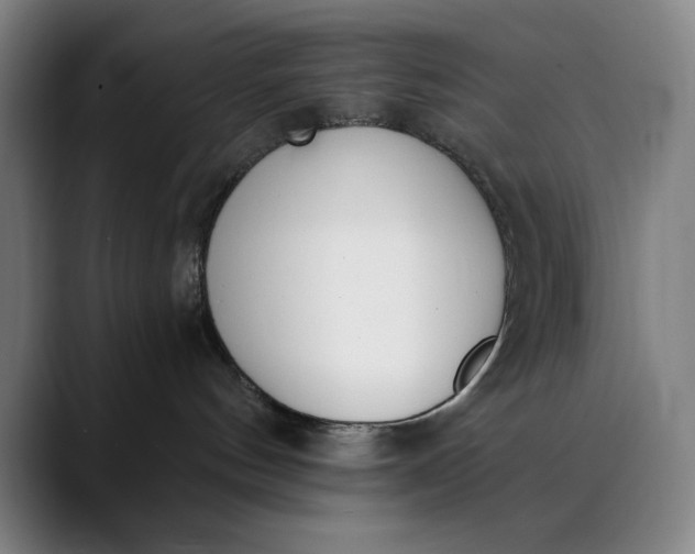 X0000089830144200707121647