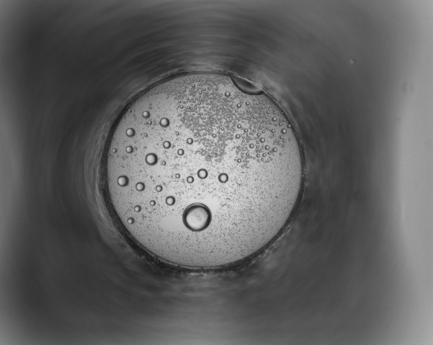 X0000089830145200707121647