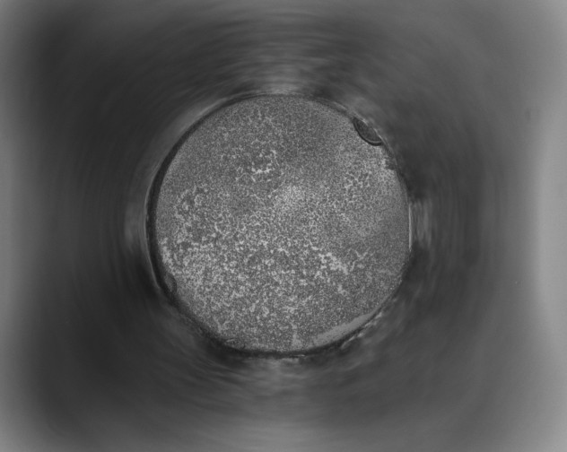 X0000089830147200707121647