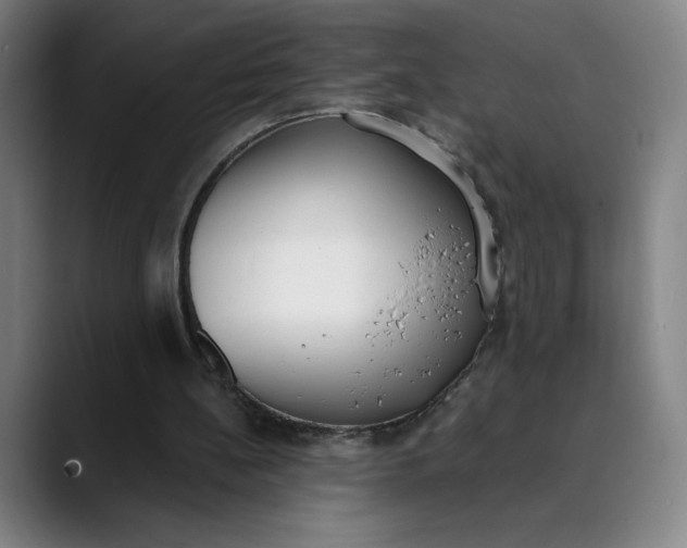 X0000089830148200707121647