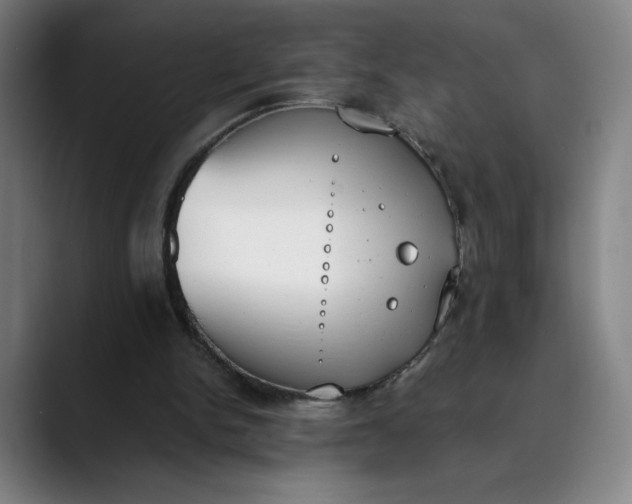 X0000089830150200707121647