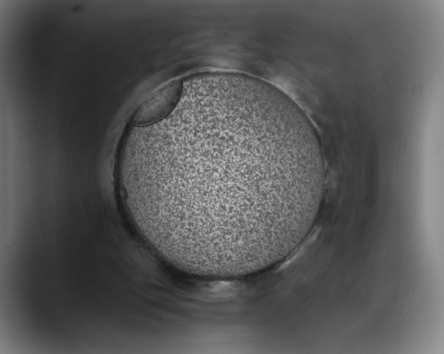 X0000089830151200707121647