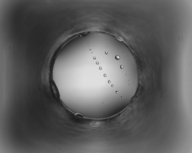 X0000089830152200707121647