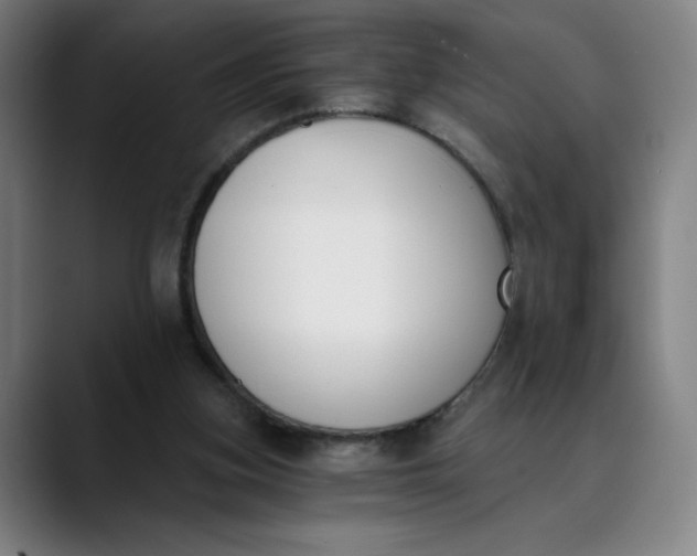 X0000089830155200707121647