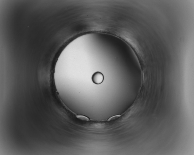 X0000089830156200707121647