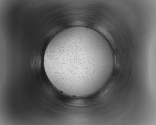 X0000089830157200707121647