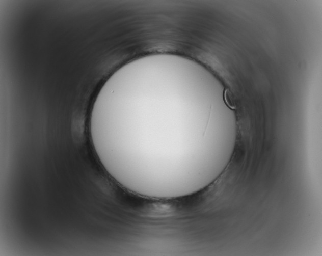 X0000089830159200707121647