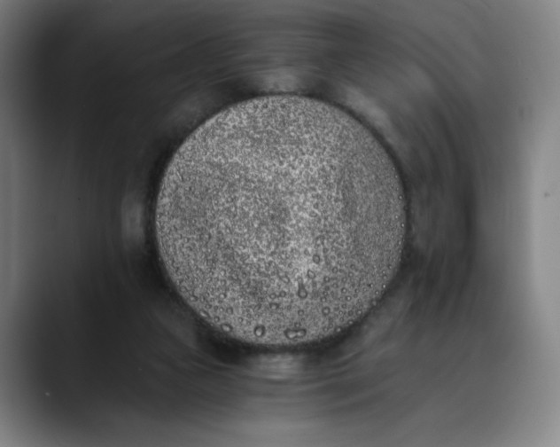 X0000089830161200707121647