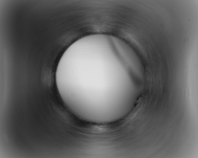 X0000089830164200707121647