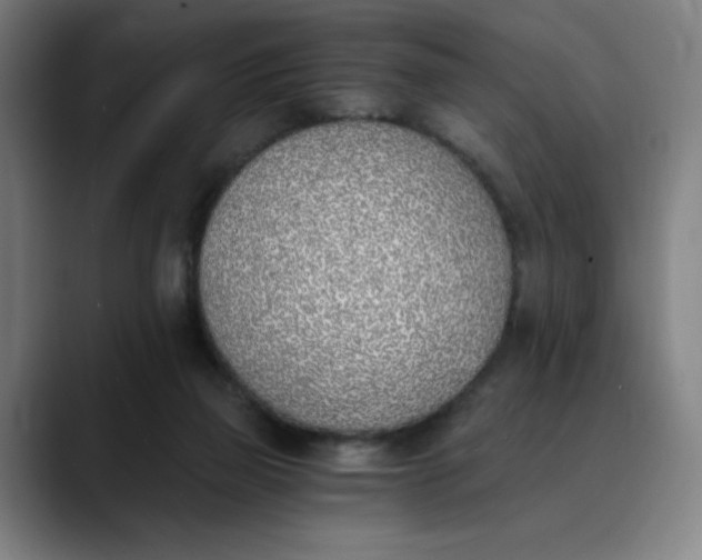 X0000089830165200707121647