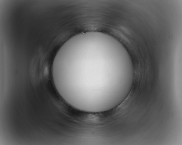 X0000089830166200707121647