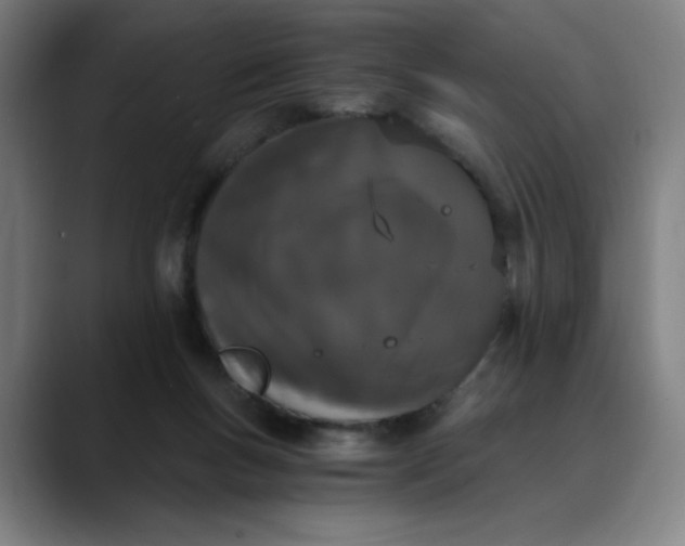 X0000089830167200707121647