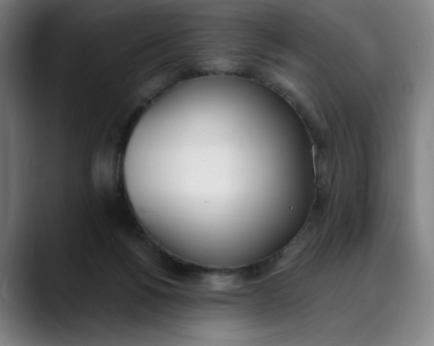 X0000089830168200707121647