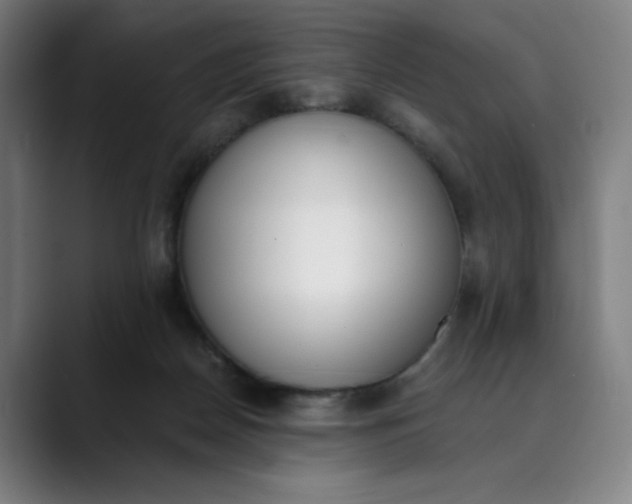 X0000089830170200707121647