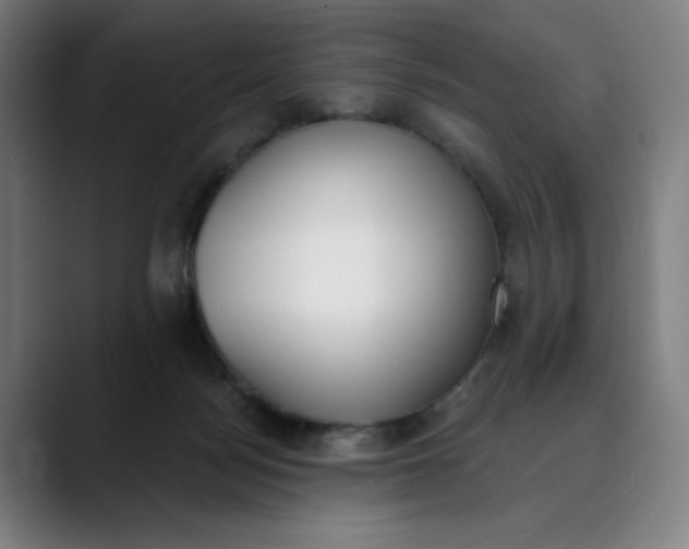 X0000089830172200707121647