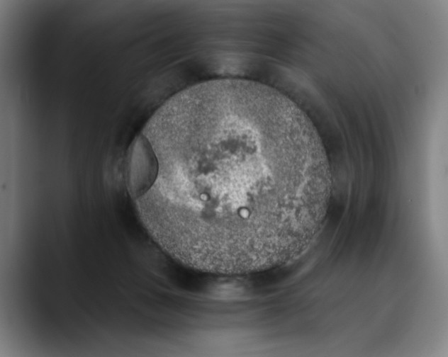 X0000089830175200707121647