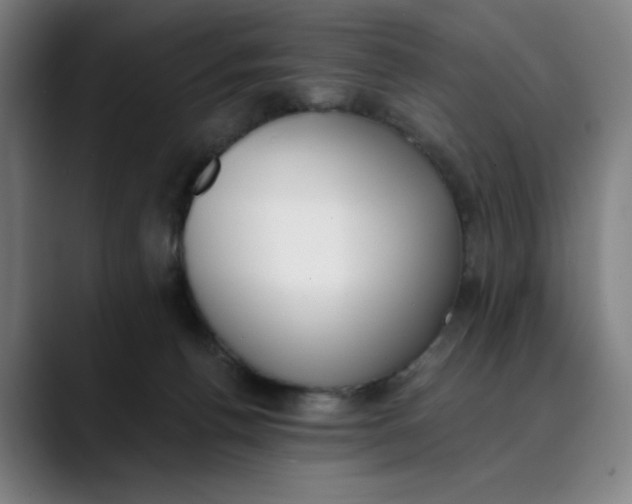 X0000089830176200707121647