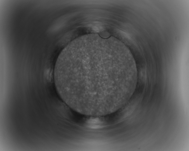 X0000089830177200707121647