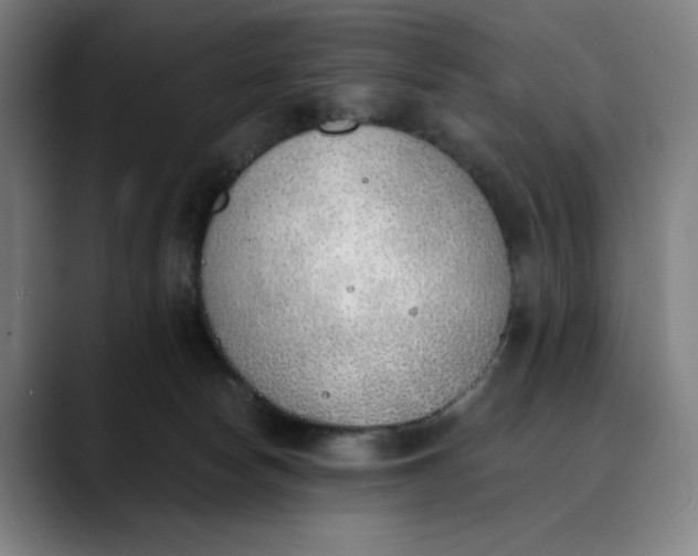 X0000089830178200707121647