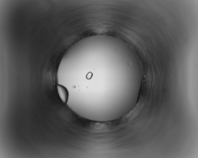 X0000089830180200707121647