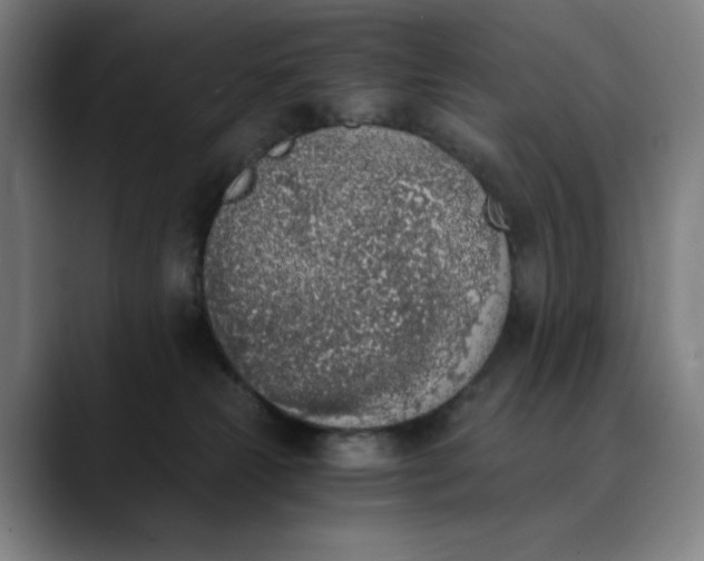 X0000089830181200707121647