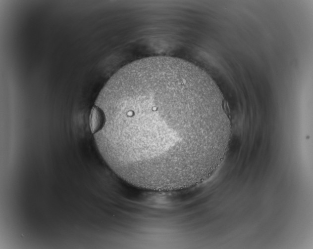 X0000089830182200707121647