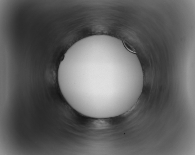 X0000089830183200707121647