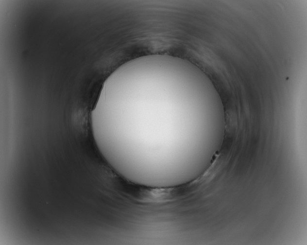 X0000089830184200707121647