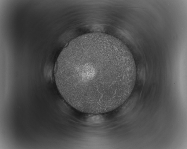 X0000089830185200707121647