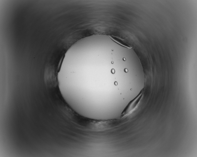 X0000089830186200707121647