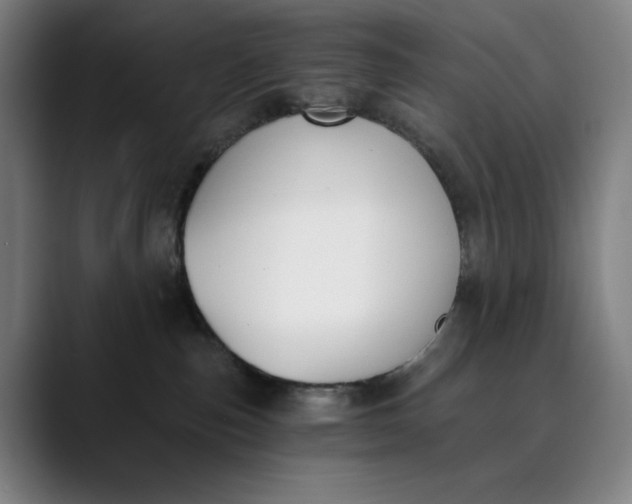 X0000089830187200707121647