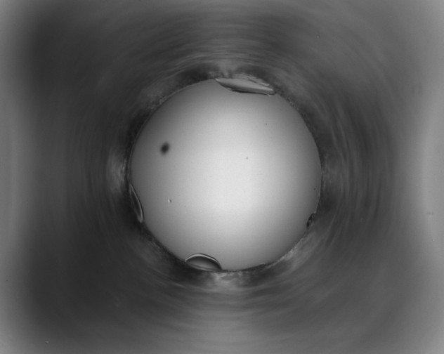 X0000089830188200707121647